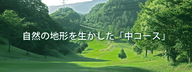 Ϸ楳